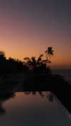 noa_mendel_ Altpins Profile Picture