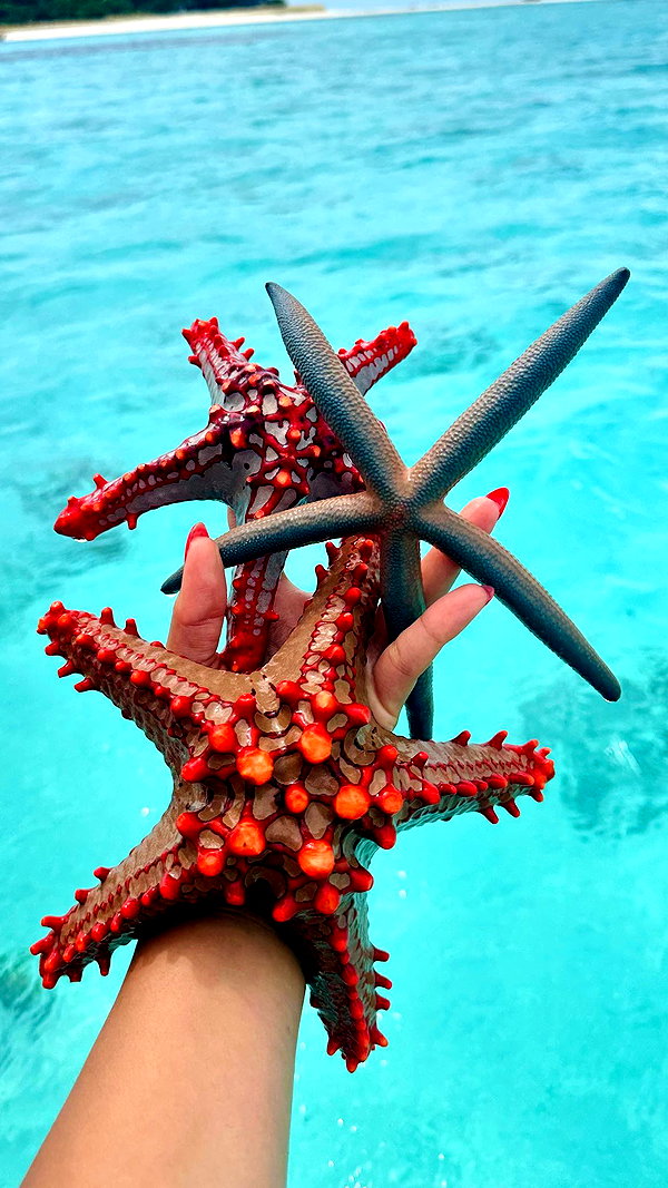 noa_mendel_ instagram image archive image