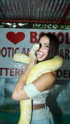 noa_mendel_ Altpins Profile Picture
