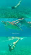 noa_mendel_ Altpins Profile Picture
