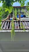 noa_mendel_ Altpins Profile Picture