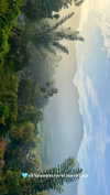 noa_mendel_ Altpins Profile Picture