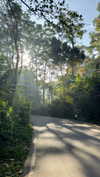 noa_mendel_ Altpins Profile Picture