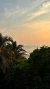 noa_mendel_ Altpins Profile Picture