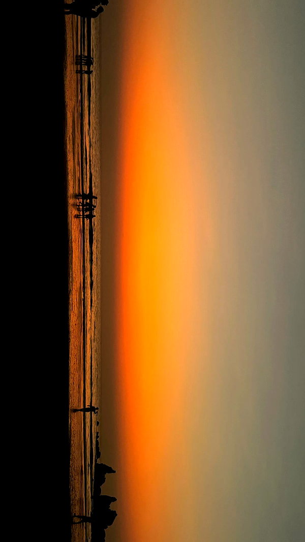 noa_mendel_ noa_mendel_ archive image