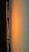 noa_mendel_ Altpins Profile Picture