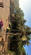 noa_mendel_ Altpins Profile Picture