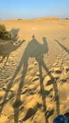 noa_mendel_ Altpins Profile Picture