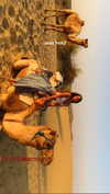 noa_mendel_ Altpins Profile Picture