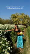noa_mendel_ Altpins Profile Picture