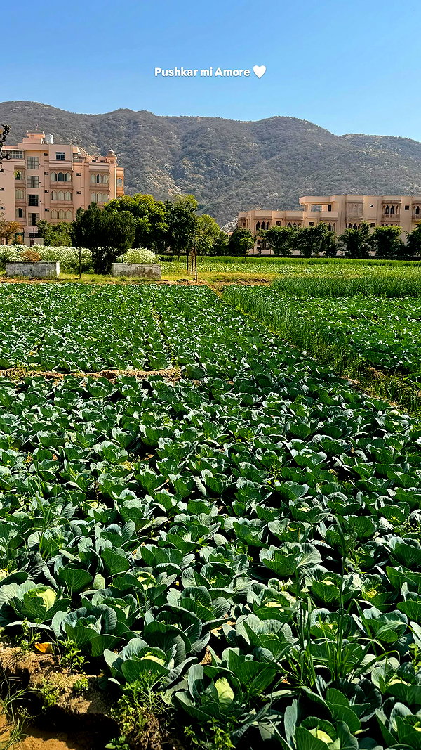 noa_mendel_ instagram image archive image
