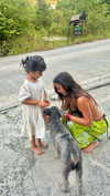 noa_mendel_ Altpins Profile Picture