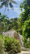 noa_mendel_ Altpins Profile Picture