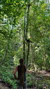 noa_mendel_ Altpins Profile Picture