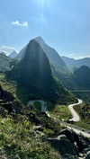 noa_mendel_ Altpins Profile Picture