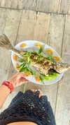 noa_mendel_ Altpins Profile Picture