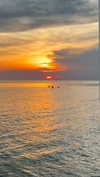 noa_mendel_ Altpins Profile Picture