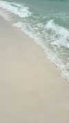 noa_mendel_ Altpins Profile Picture