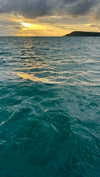 noa_mendel_ Altpins Profile Picture