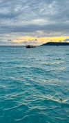 noa_mendel_ Altpins Profile Picture
