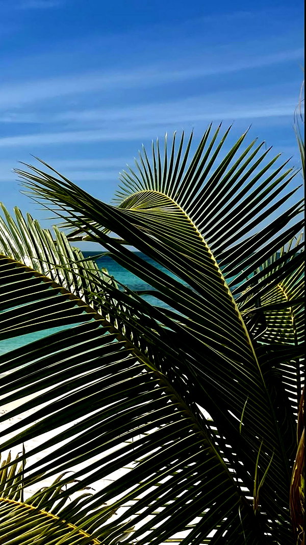 noa_mendel_ instagram image archive image