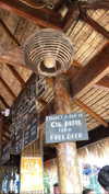 noa_mendel_ Altpins Profile Picture