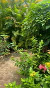 noa_mendel_ Altpins Profile Picture