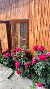 noa_mendel_ Altpins Profile Picture