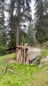 noa_mendel_ Altpins Profile Picture