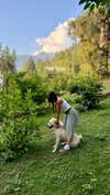 noa_mendel_ Altpins Profile Picture