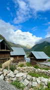 noa_mendel_ Altpins Profile Picture