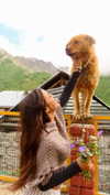 noa_mendel_ Altpins Profile Picture