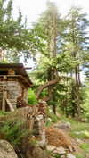 noa_mendel_ Altpins Profile Picture
