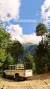 noa_mendel_ Altpins Profile Picture