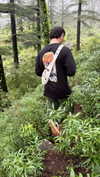 noa_mendel_ Altpins Profile Picture