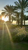 noa_mendel_ Altpins Profile Picture