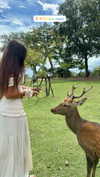 noa_mendel_ Altpins Profile Picture