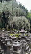 noa_mendel_ Altpins Profile Picture