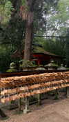 noa_mendel_ Altpins Profile Picture