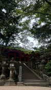 noa_mendel_ Altpins Profile Picture