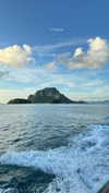 noa_mendel_ Altpins Profile Picture