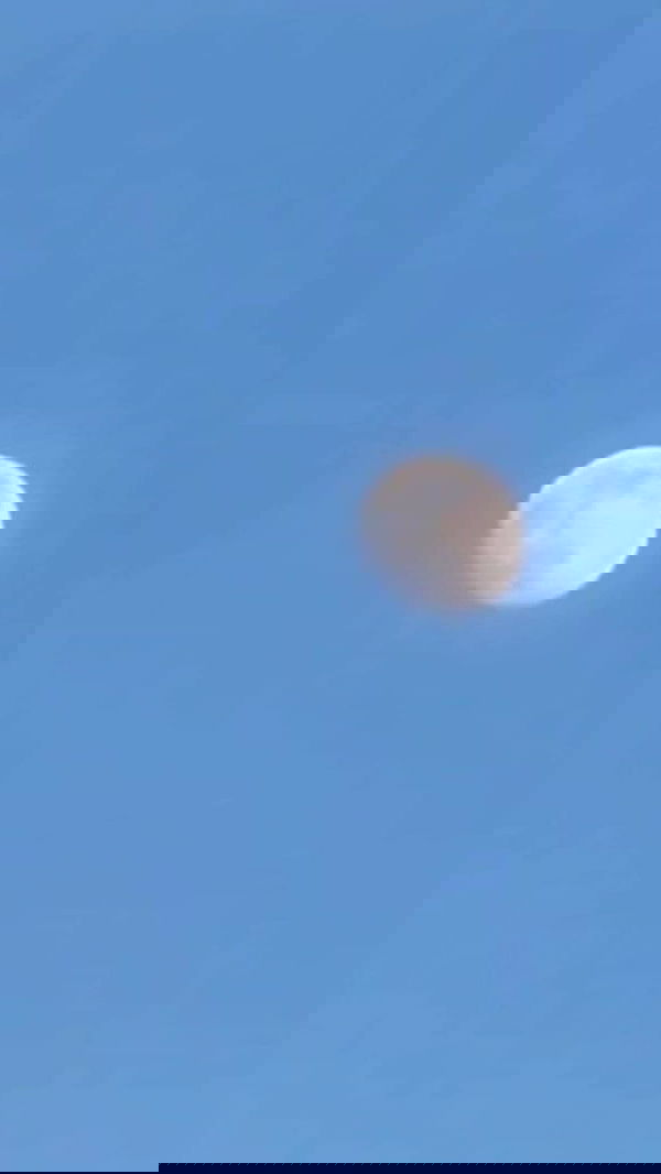 noa_zemlyanski noa_zemlyanski archive image