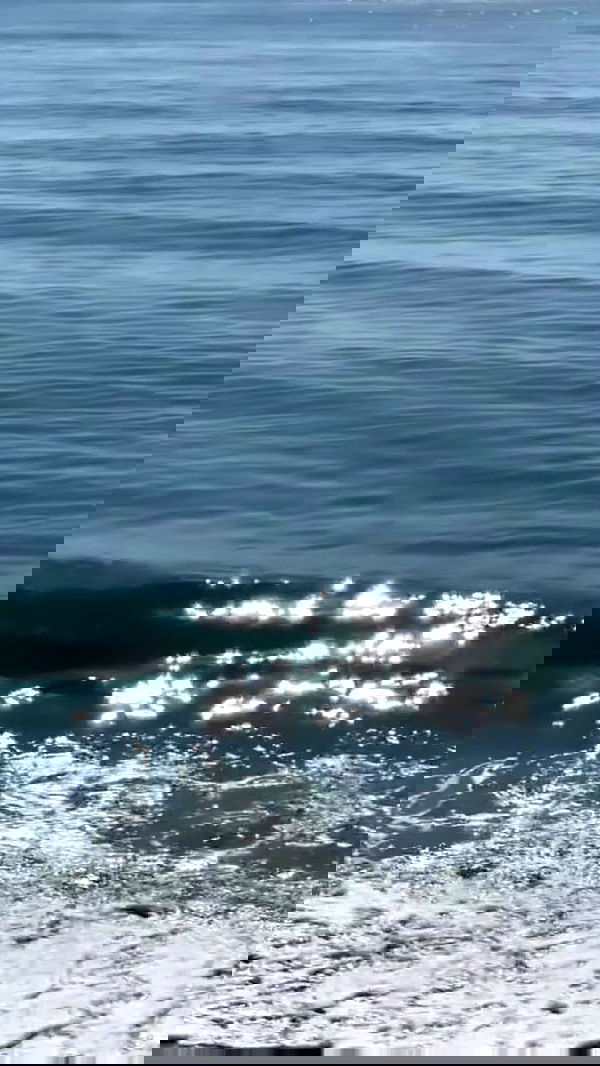 noa_zemlyanski noa_zemlyanski archive image