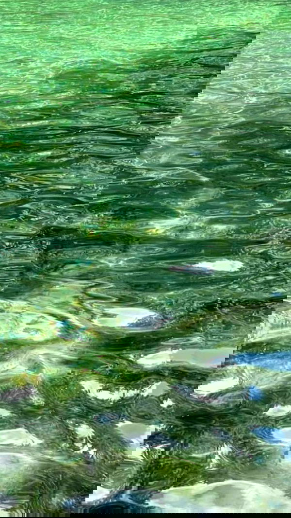 noa_zemlyanski noa_zemlyanski archive image