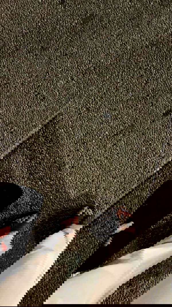 noa_zemlyanski noa_zemlyanski archive image