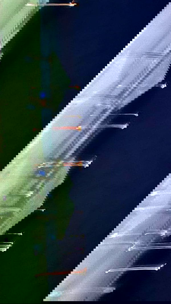 noa_zemlyanski noa_zemlyanski archive image