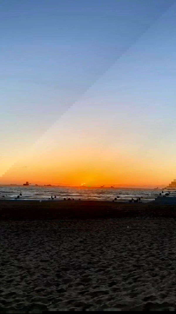 noa_zemlyanski noa_zemlyanski archive image