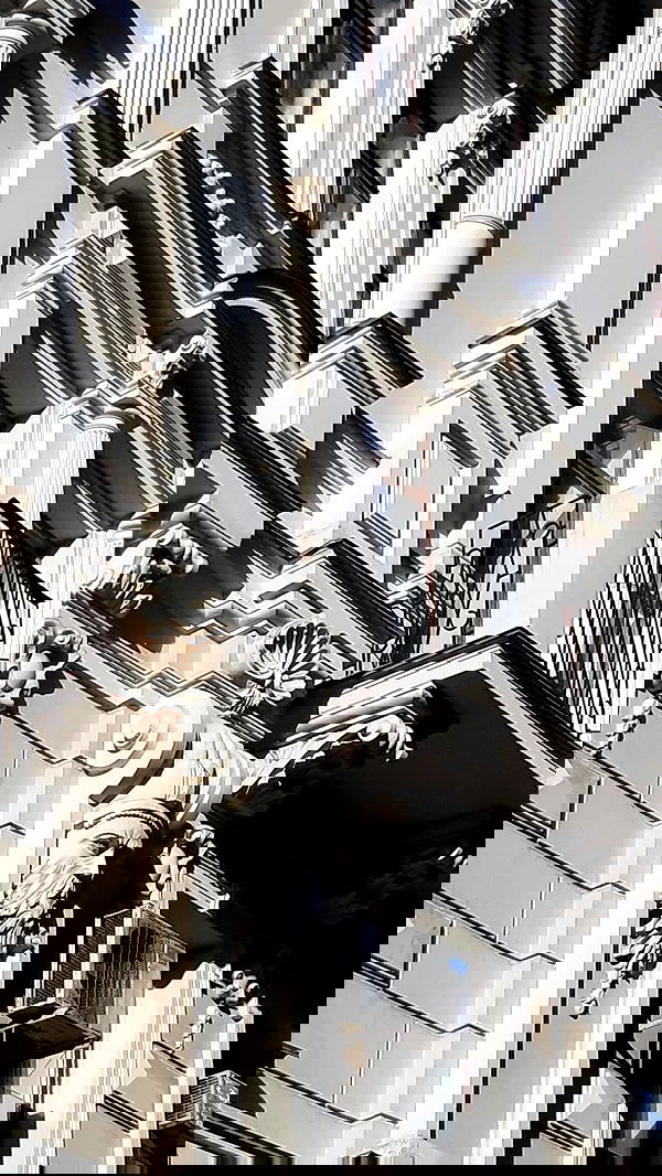 noa_zemlyanski noa_zemlyanski archive image