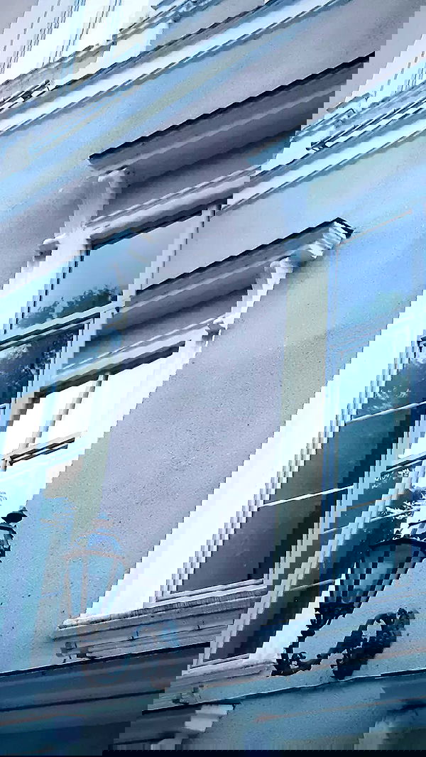 noa_zemlyanski noa_zemlyanski archive image