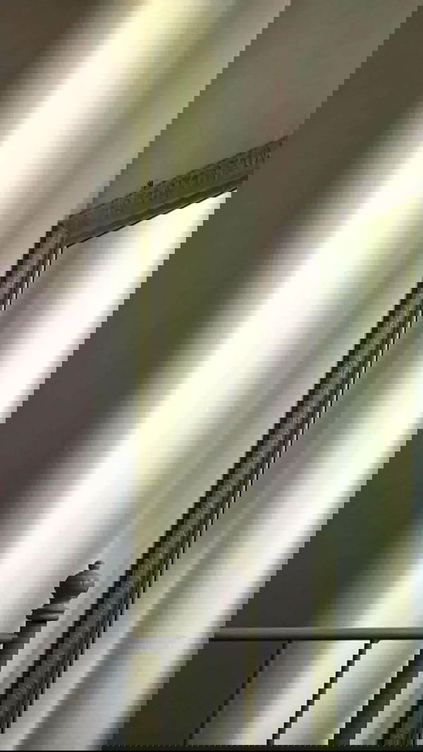 noa_zemlyanski noa_zemlyanski archive image